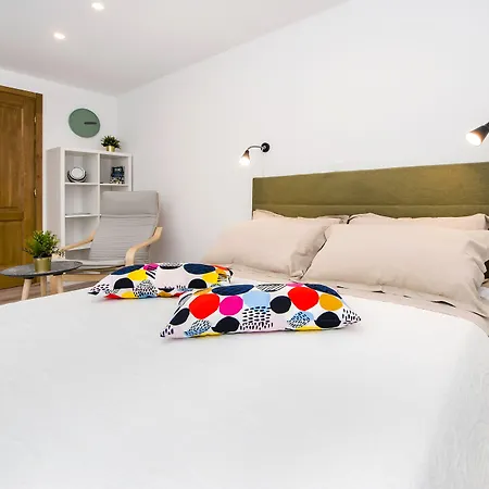Pisinium Rovinj