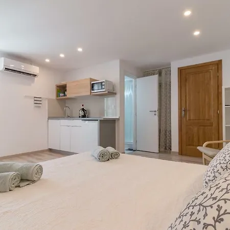 Pisinium * Rovinj