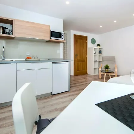 Pisinium Rovinj