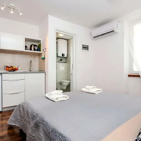 Pisinium Rovinj