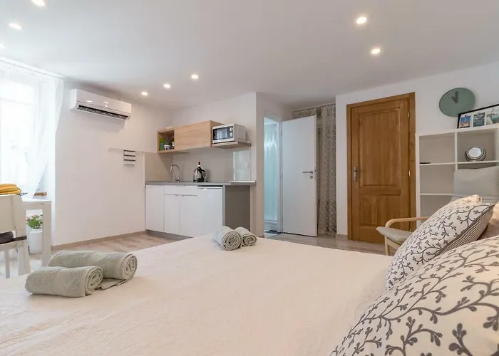 Pisinium * Ρόβινι